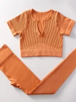 Flexelevate Women Orange Yoga Set Seamless Workout Clothes