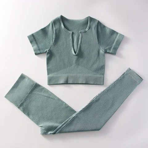 Flexelevate Women Blue Yoga Set Seamless Workout Clothes