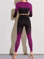 Flexelevate 2Pcs Seamless Gradient Color Yoga Set